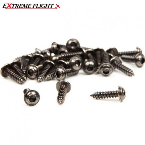 Extreme Flight Socket Head Mounting Screws - Qty. 30